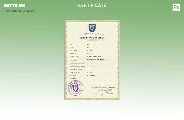 модерен стил Ирска витална евиденција за извод од матична книга на родените ПС